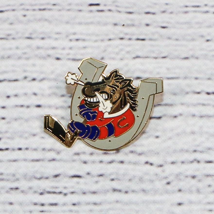 Lapel Pin - Other OHL Teams Past & Present | Saginaw Spirit Store